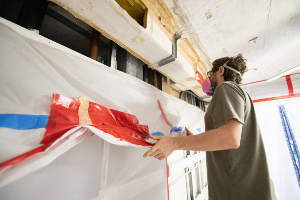 Best Mold Damage Restoration  in Blissfield, MI