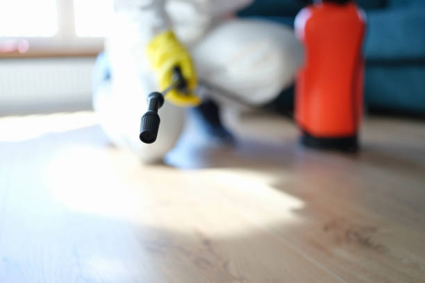 Best Real Estate Mold Inspection  in Blissfield, MI