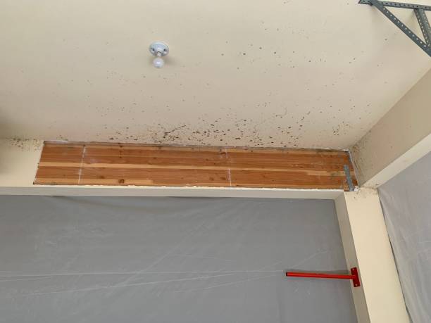 Best Indoor Air Quality Assessment  in Blissfield, MI